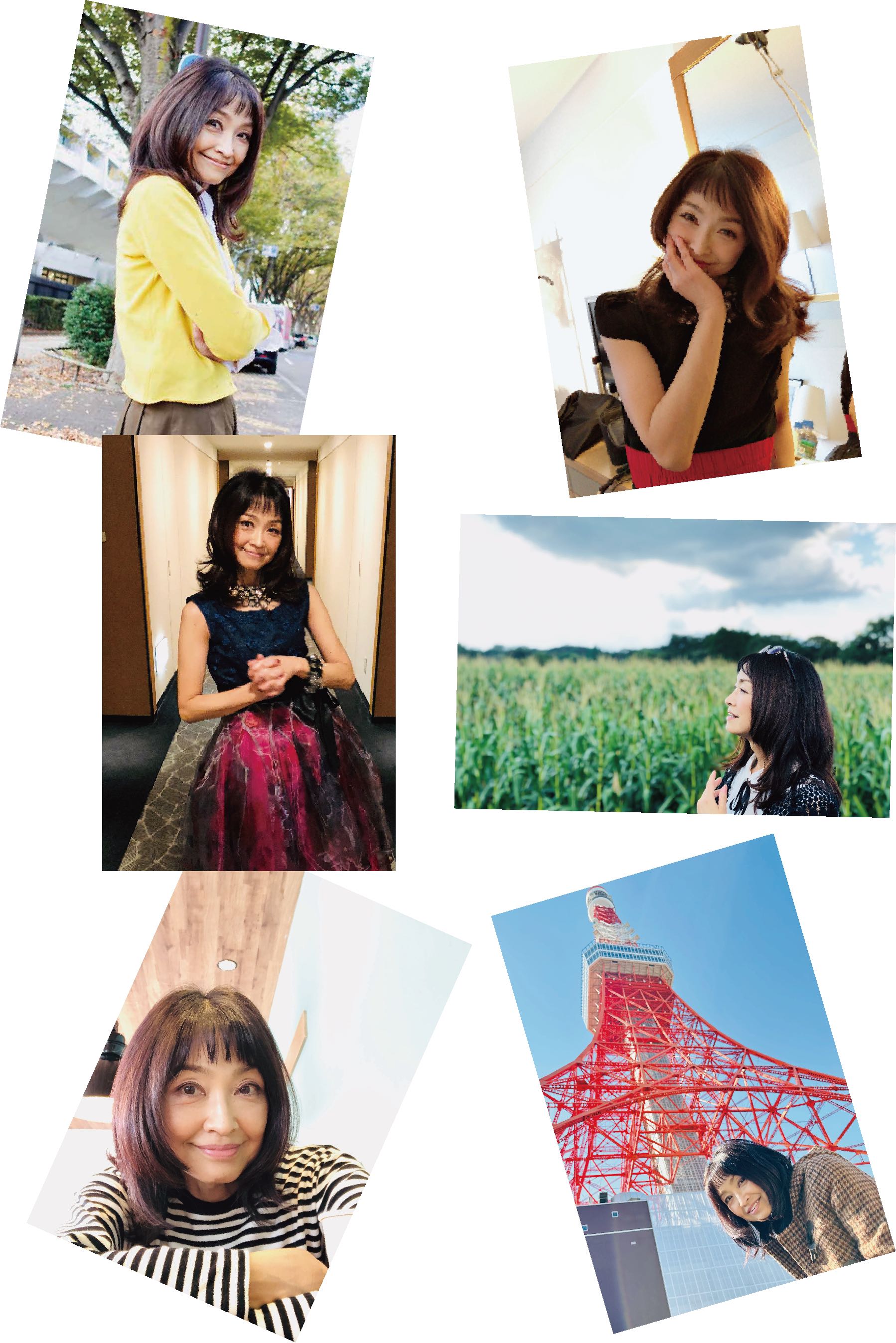 石川ひとみ Official Online Store – Yagijirushi Online Store